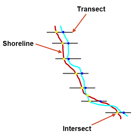 Transect points along shoreline diagram