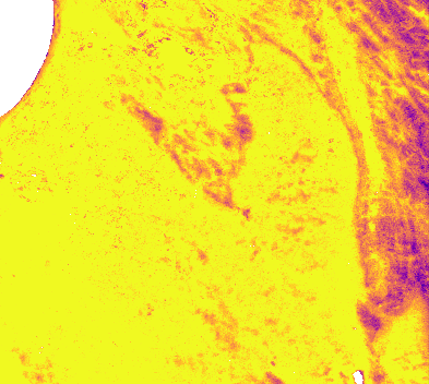 ../_images/iSDA_Soil_Bedrock_Depth_thumbnail.png